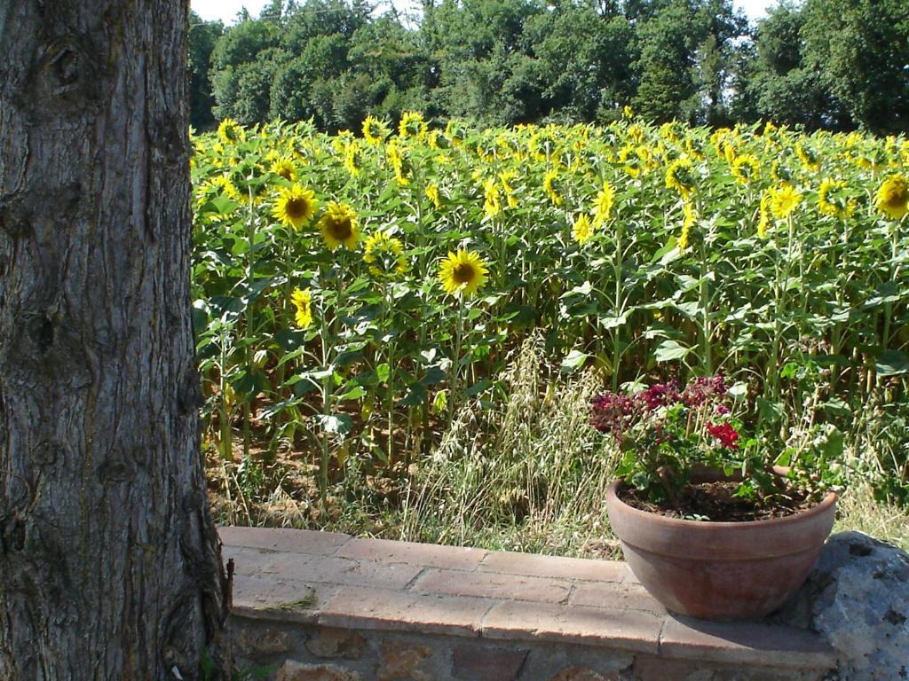 Casale Il Colombaio Di Toiano Guest House Valli Стая снимка